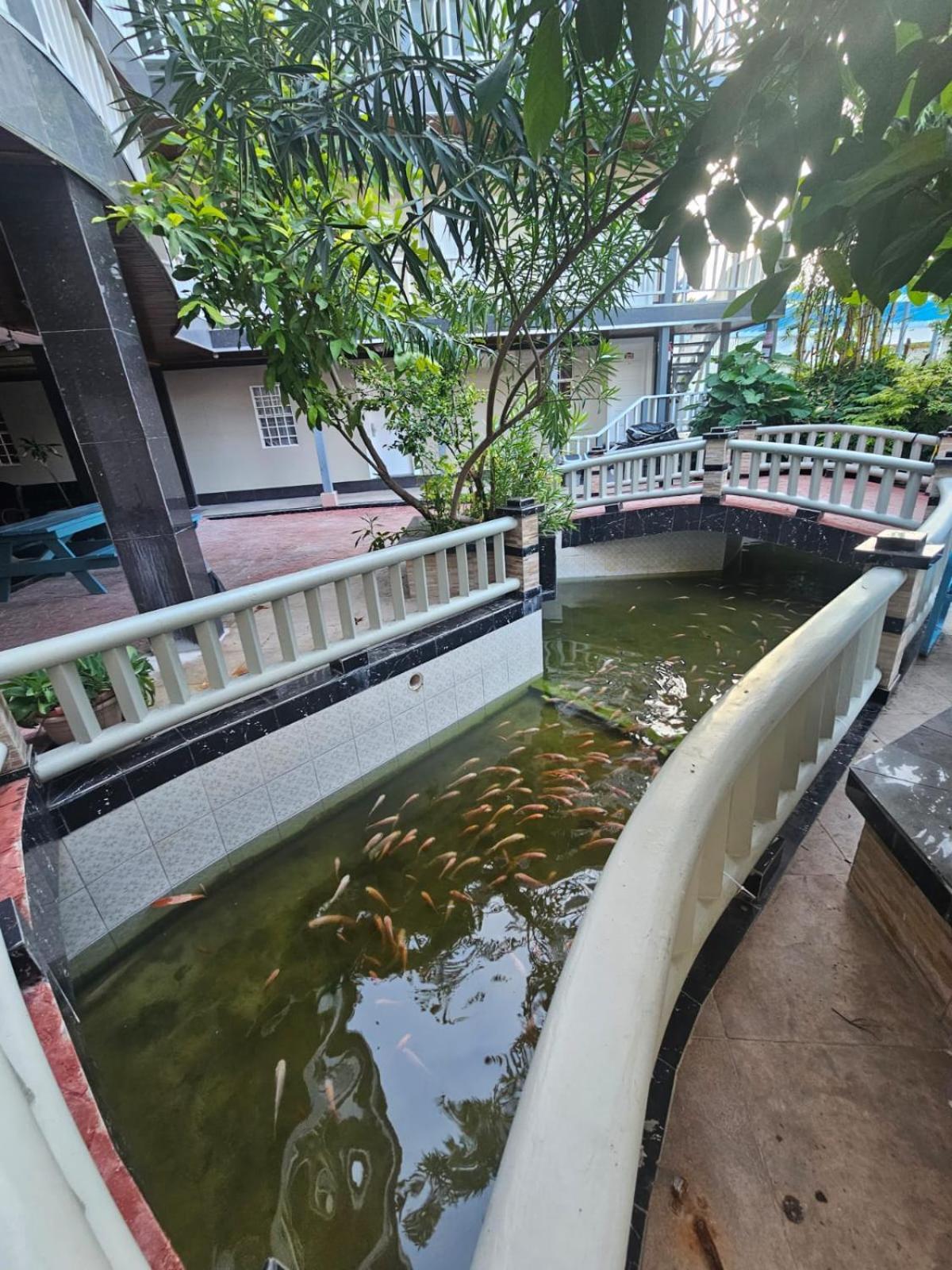 China Town Hotel Caye Caulker Εξωτερικό φωτογραφία